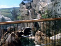 photos 2000-200901478